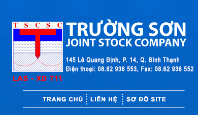 TSCSC - Business Consulting